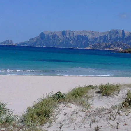 Casa Vacanza Pittulongu Appartamento
